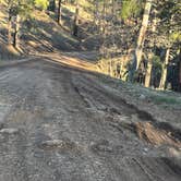 Review photo of Pumphouse Wash (FR 237) Dispersed Camping Area by Curious Compass B., December 8, 2025