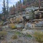 Review photo of Pumphouse Wash (FR 237) Dispersed Camping Area by Cindy S., November 9, 2025