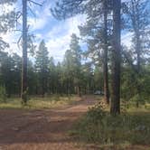 Review photo of Pumphouse Wash (FR 237) Dispersed Camping Area by Keith R., August 28, 2026