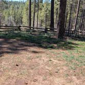 Review photo of Pumphouse Wash (FR 237) Dispersed Camping Area by Gary G., April 6, 2026
