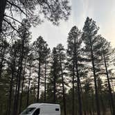 Review photo of Pumphouse Wash (FR 237) Dispersed Camping Area by brendan , May 22, 2025