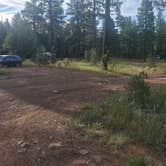 Review photo of Pumphouse Wash (FR 237) Dispersed Camping Area by Keith R., August 28, 2026