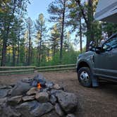 Review photo of Pumphouse Wash (FR 237) Dispersed Camping Area by John H., September 15, 2025