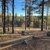 Review photo of Pumphouse Wash (FR 237) Dispersed Camping Area by Curious Compass B., December 8, 2025