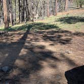 Review photo of Pumphouse Wash (FR 237) Dispersed Camping Area by Gary G., April 6, 2026