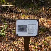 Review photo of Pumpkin Patch RV Resort by Rebecca Y., October 10, 2025