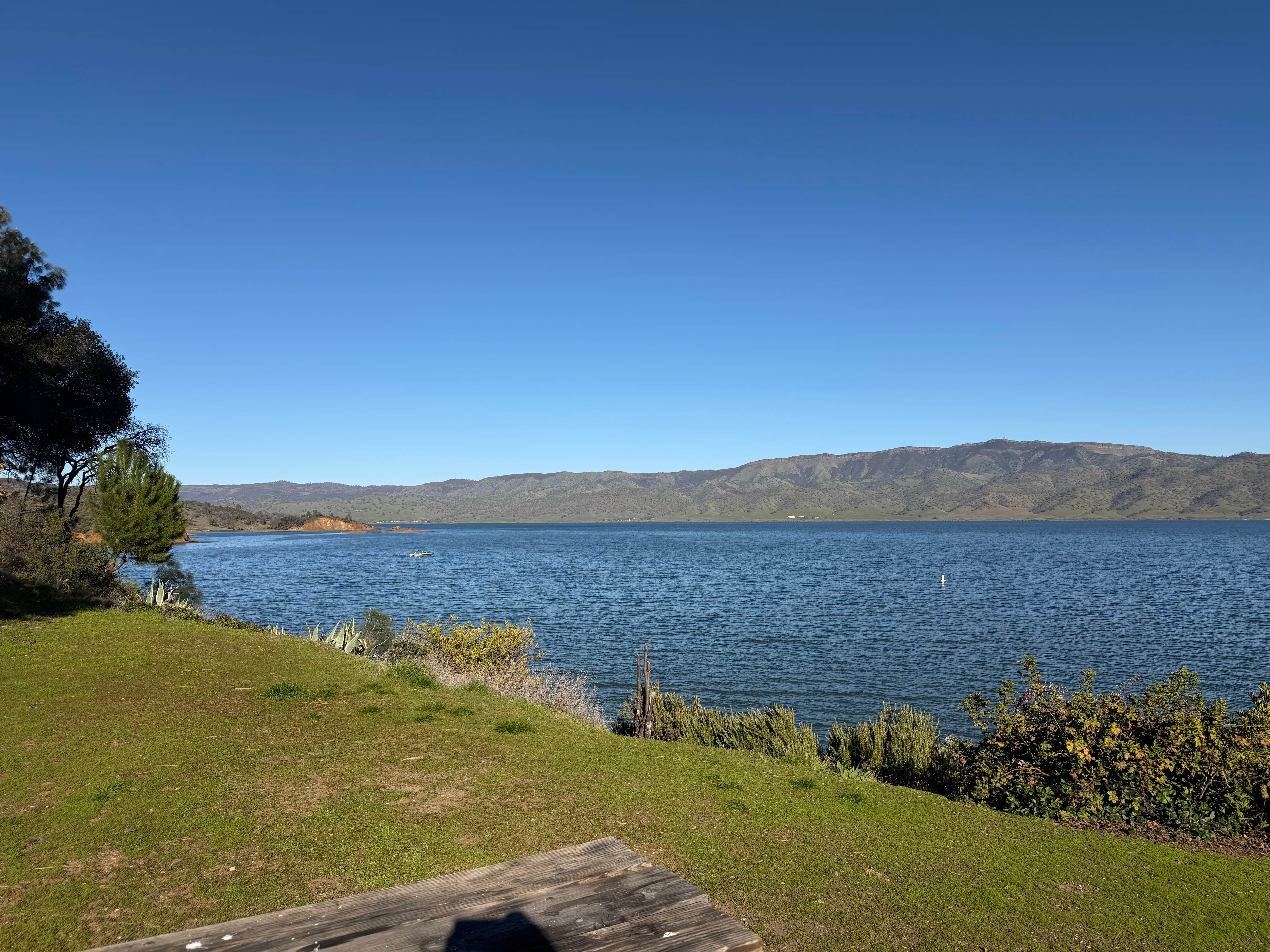 Camper submitted image from Putah Canyon Campground - 5