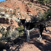 Review photo of Pyramid Ridge Campground by David N., November 7, 2025