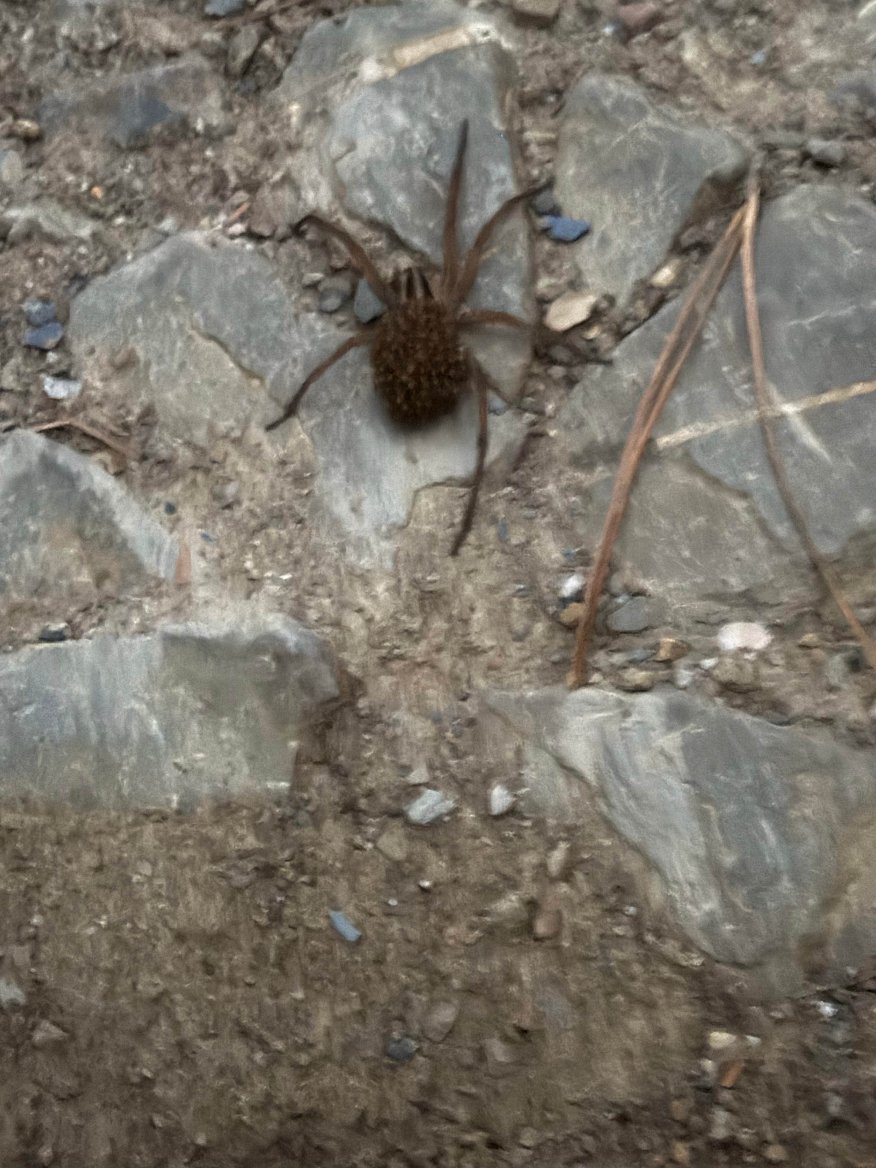 Camper-submitted photo at Quachita NF Dispersed by Cedar Creek off 51220 near Wickes, AR