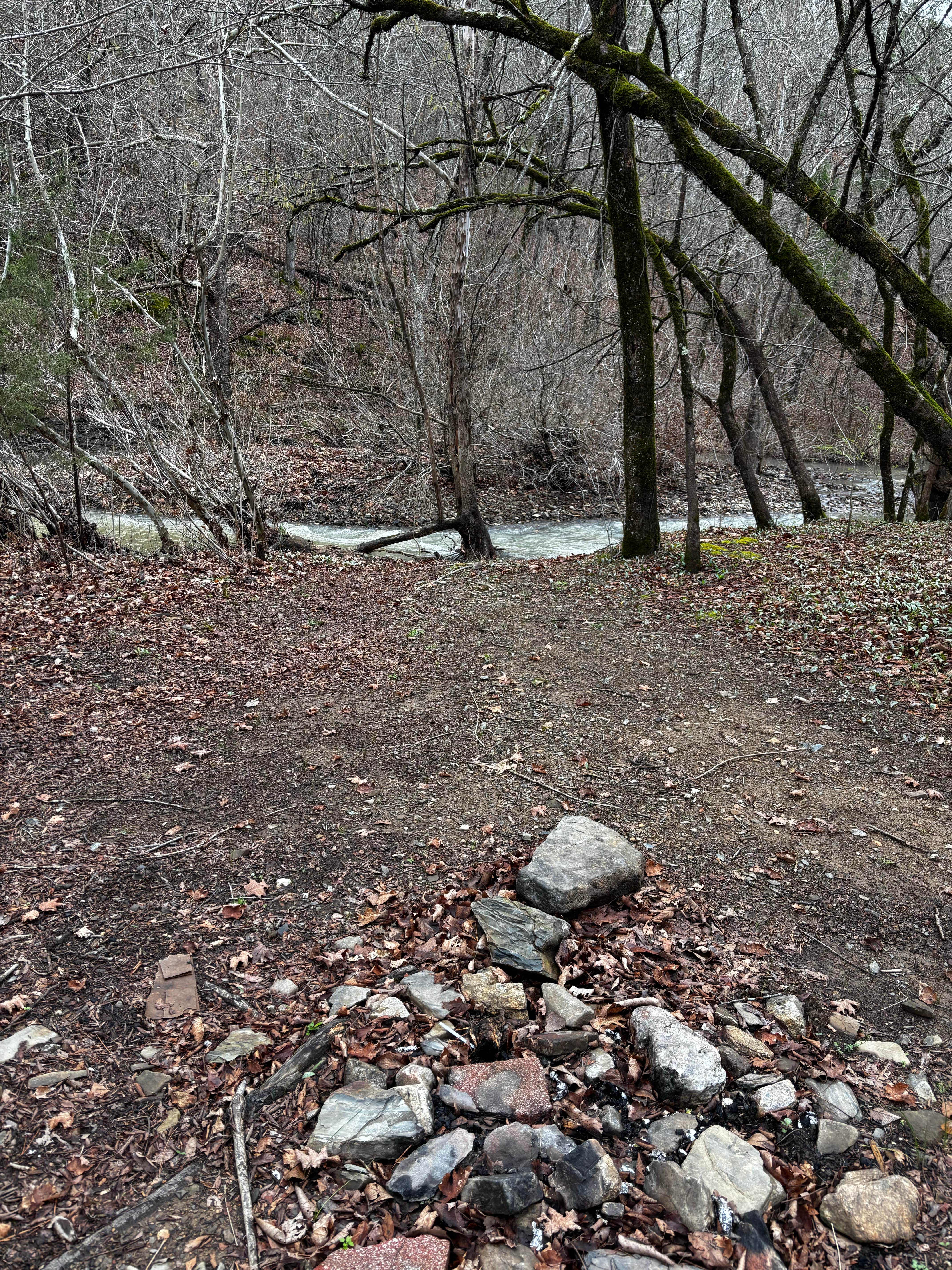 Camper-submitted photo at Quachita NF Dispersed by Cedar Creek off 51220 near Bethel, OK