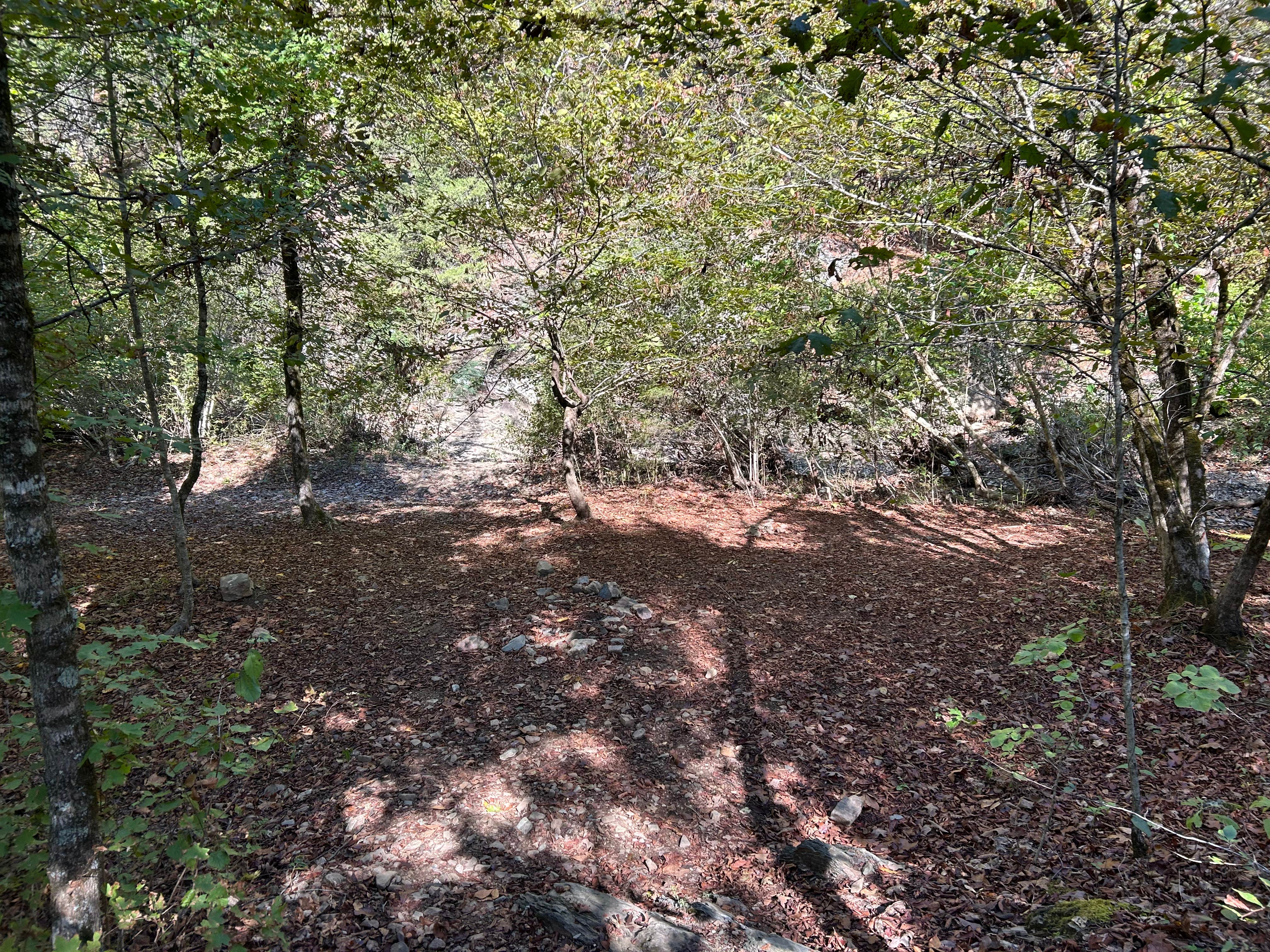 Camper-submitted photo at Quachita NF Dispersed by Cedar Creek off 51220 near Wickes, AR