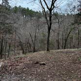 Review photo of Quachita NF Dispersed by Cedar Creek off 51220 by Brianna H., March 11, 2026