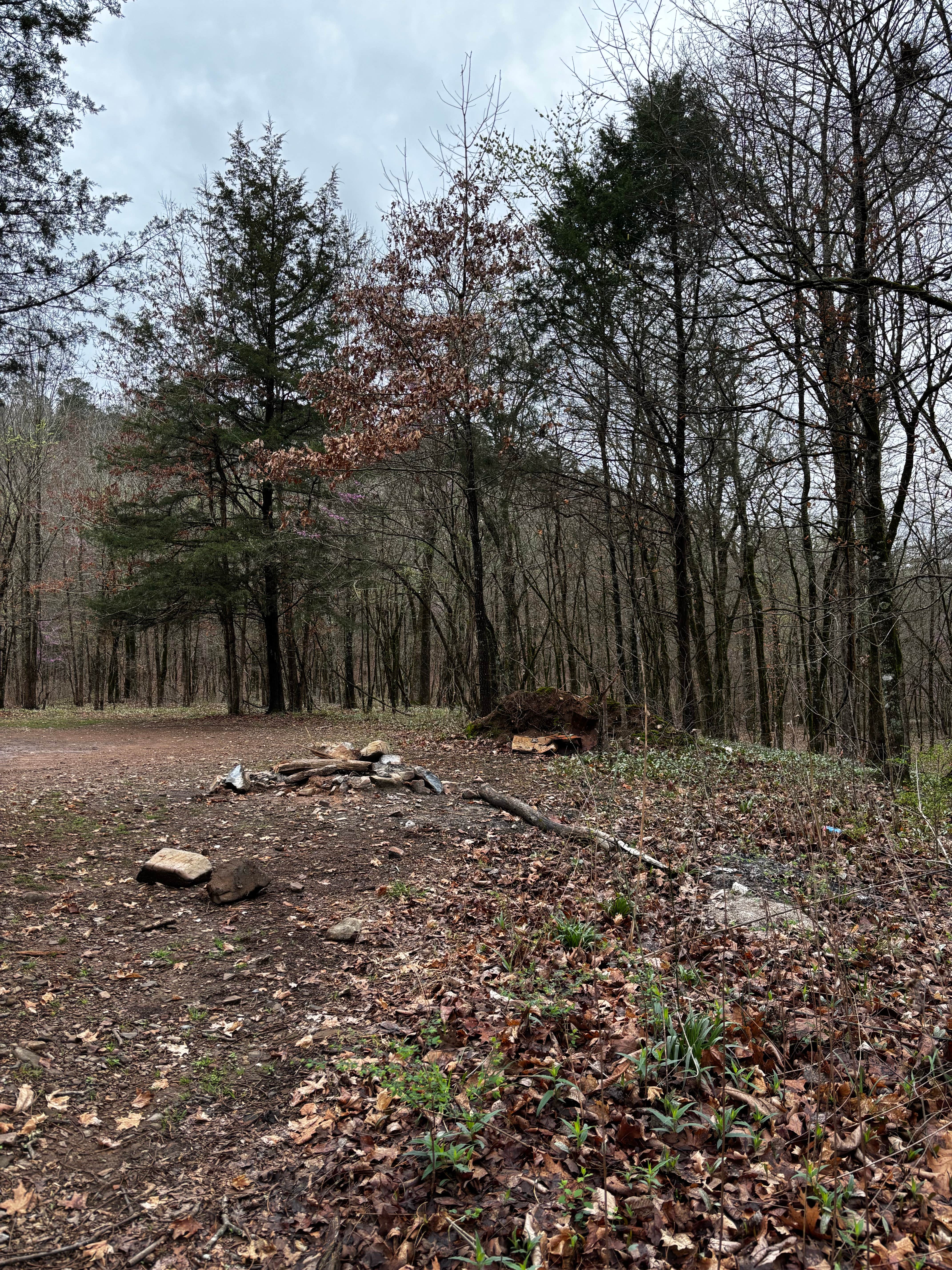 Camper-submitted photo at Quachita NF Dispersed by Cedar Creek off 51220 near Bethel, OK