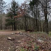 Review photo of Quachita NF Dispersed by Cedar Creek off 51220 by Brianna H., March 11, 2026