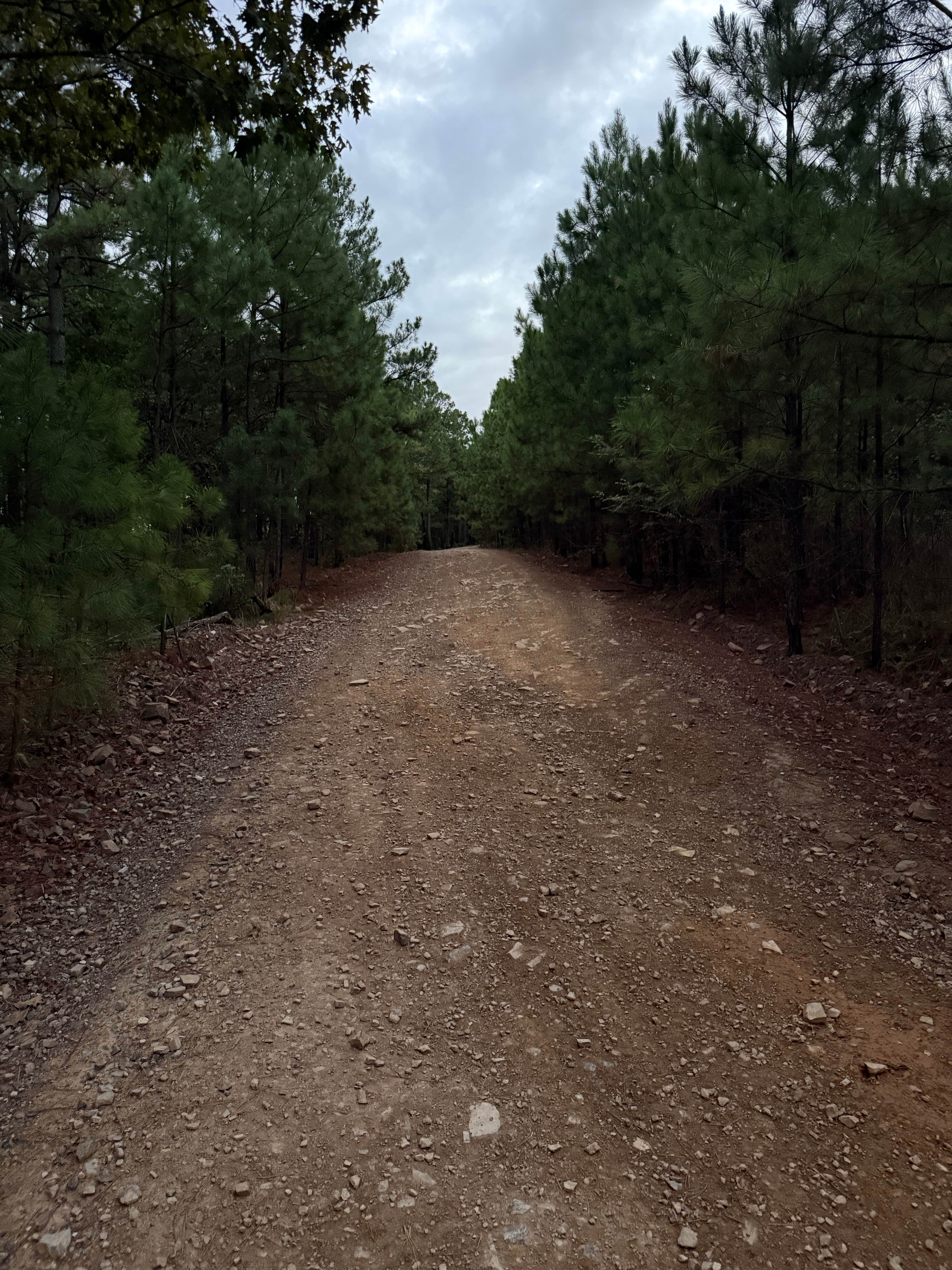 Camper-submitted photo at Quachita NF Dispersed by Cedar Creek off 51220 near Wickes, AR