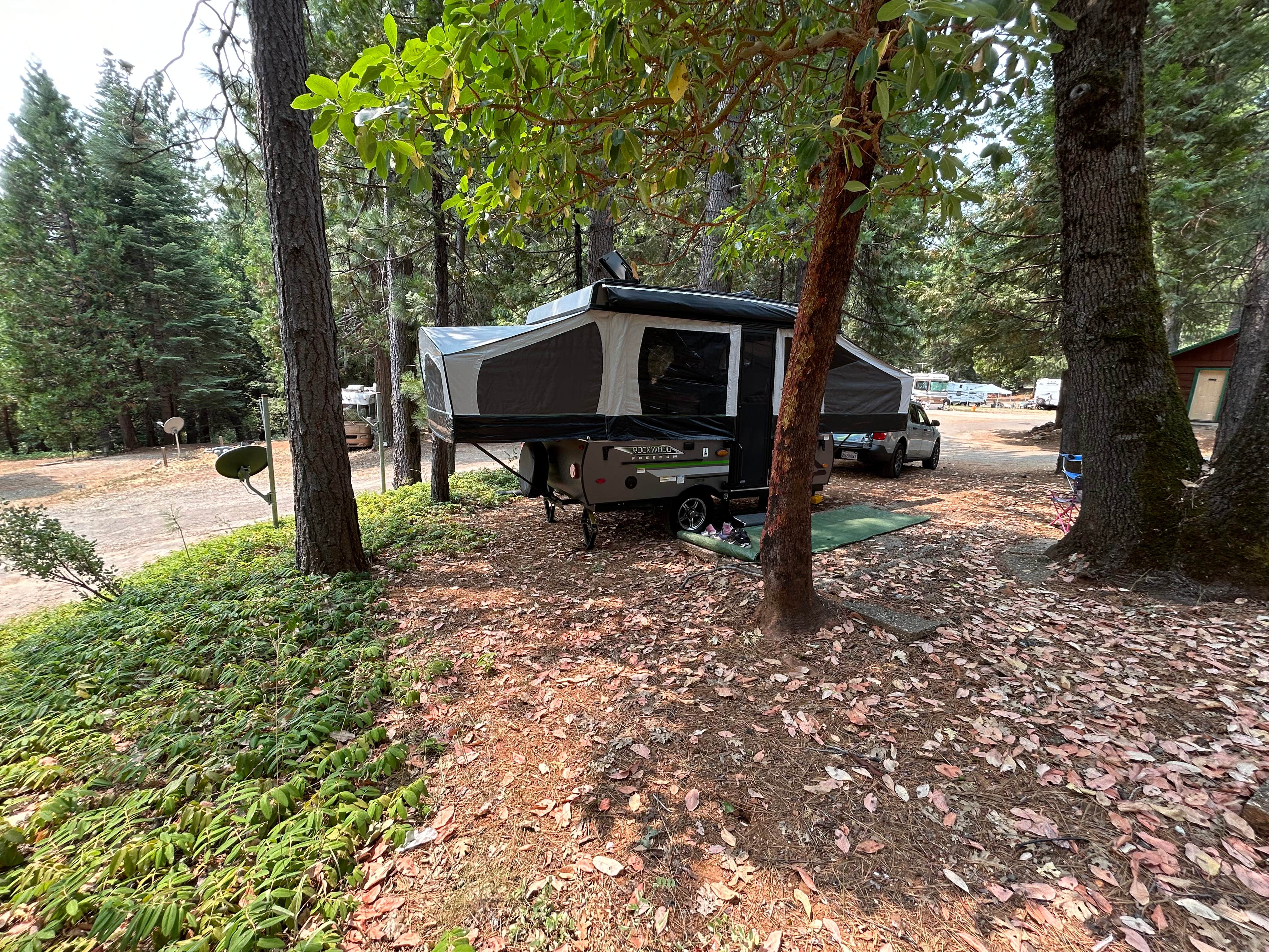 Camper submitted image from Quail Ridge RV Park - 2