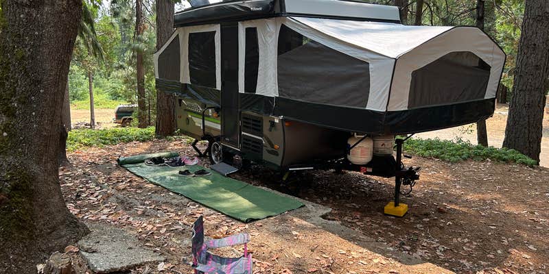 Camper submitted image from Quail Ridge RV Park