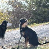 Review photo of Quail Ridge Campground by NevaehFlora T., January 23, 2026