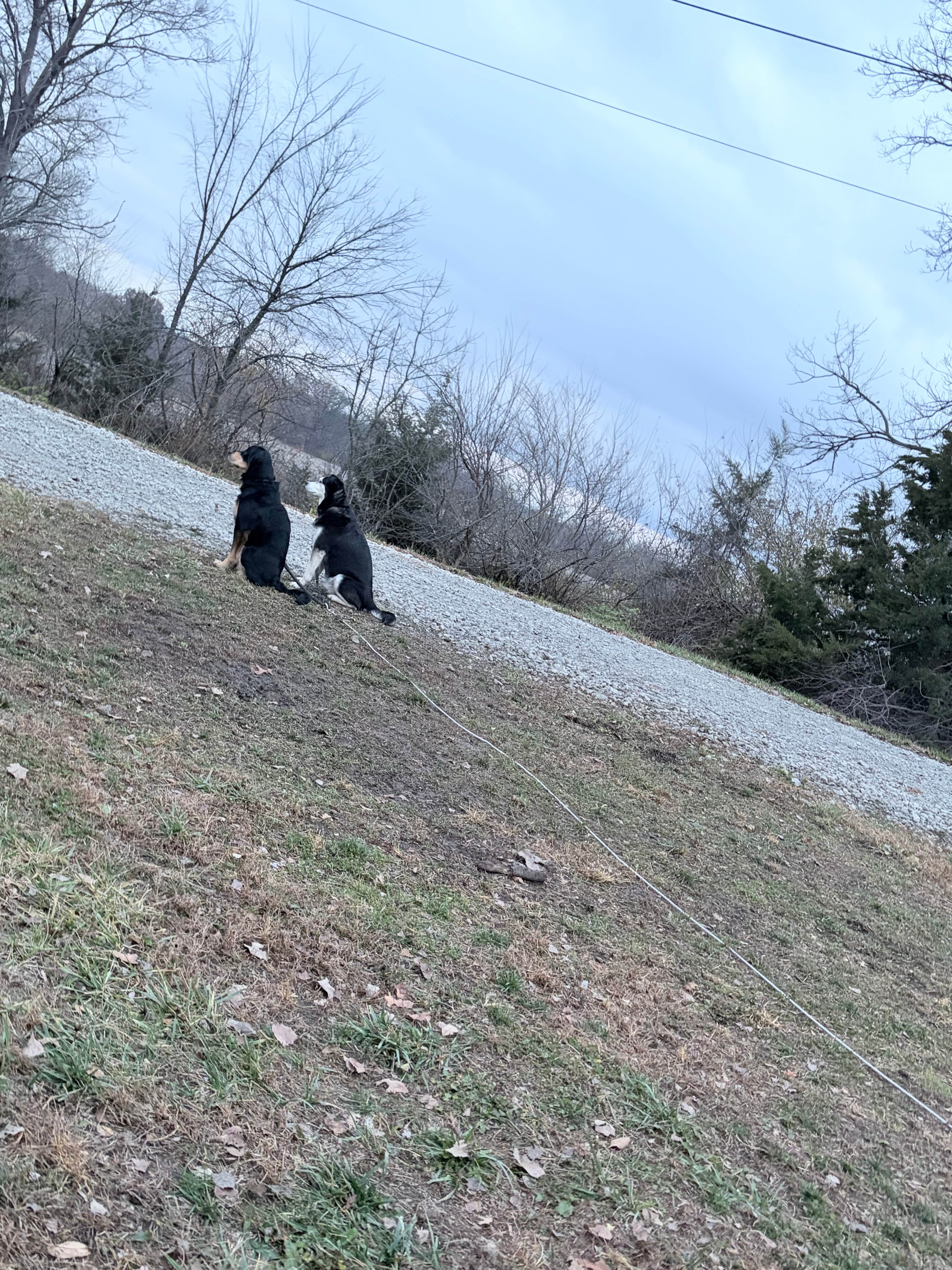 Camper submitted image from Quail Ridge Campground - 3