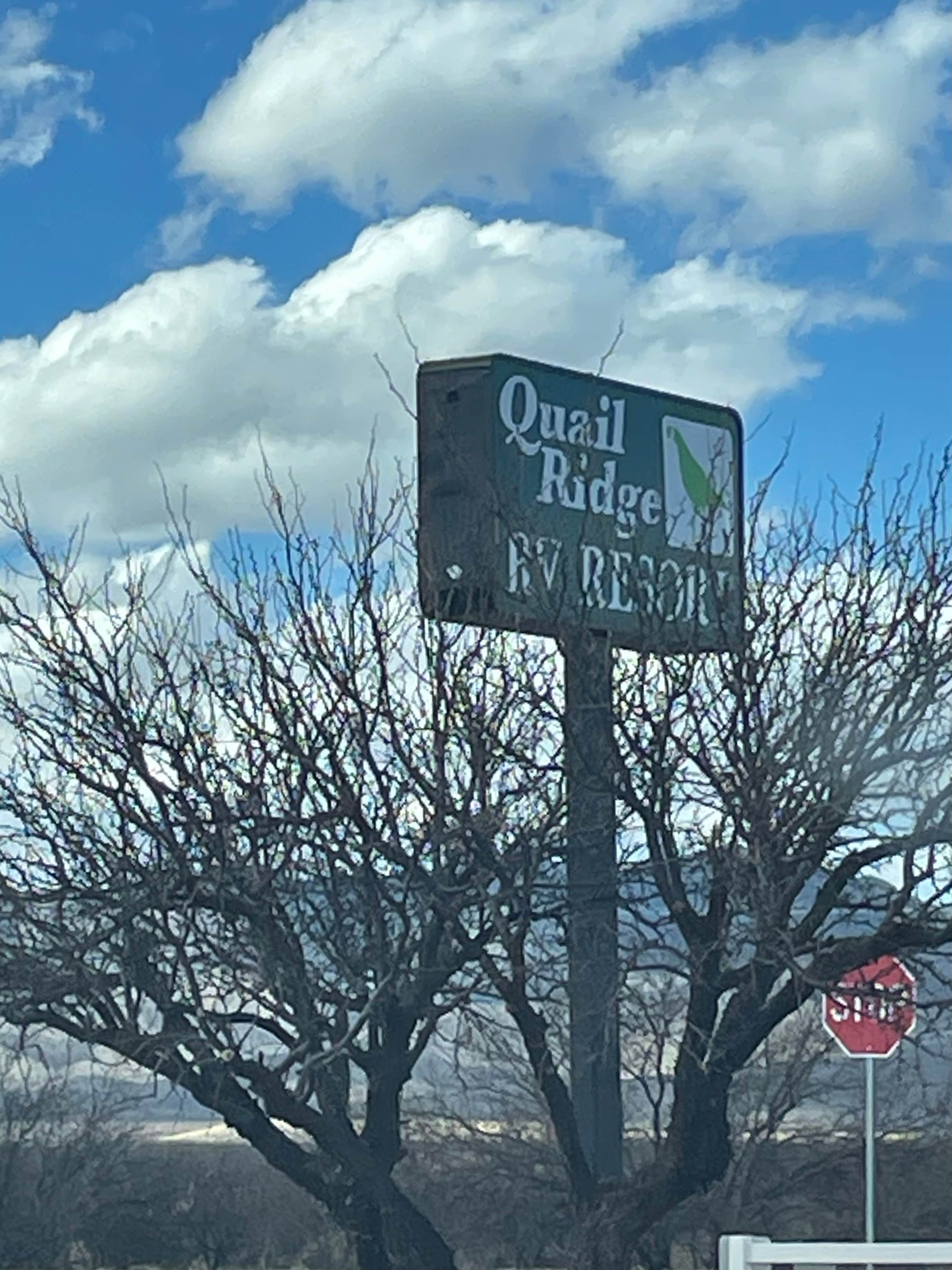 Camper-submitted photo at Quail Ridge RV Resort near Huachuca City, AZ