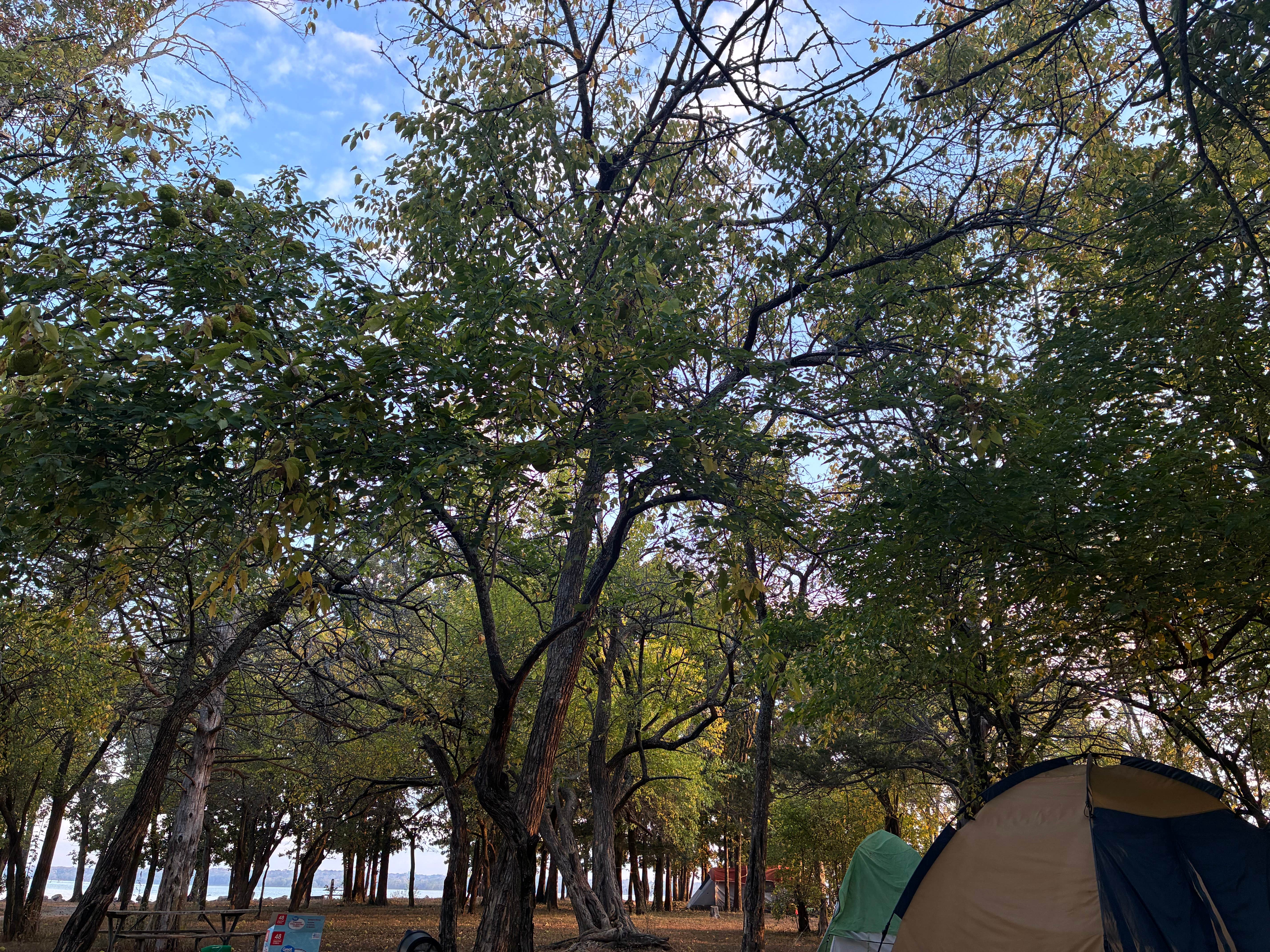 Camper-submitted photo at Quail Run Campground — Hillsdale State Park near Gardner, KS