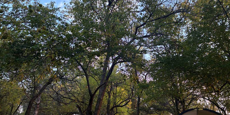 Camper submitted image from Quail Run Campground — Hillsdale State Park