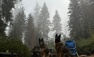 Scott D.'s photo of camping with pets at Grover Hot Springs State Park Campground near Kirkwood, CA