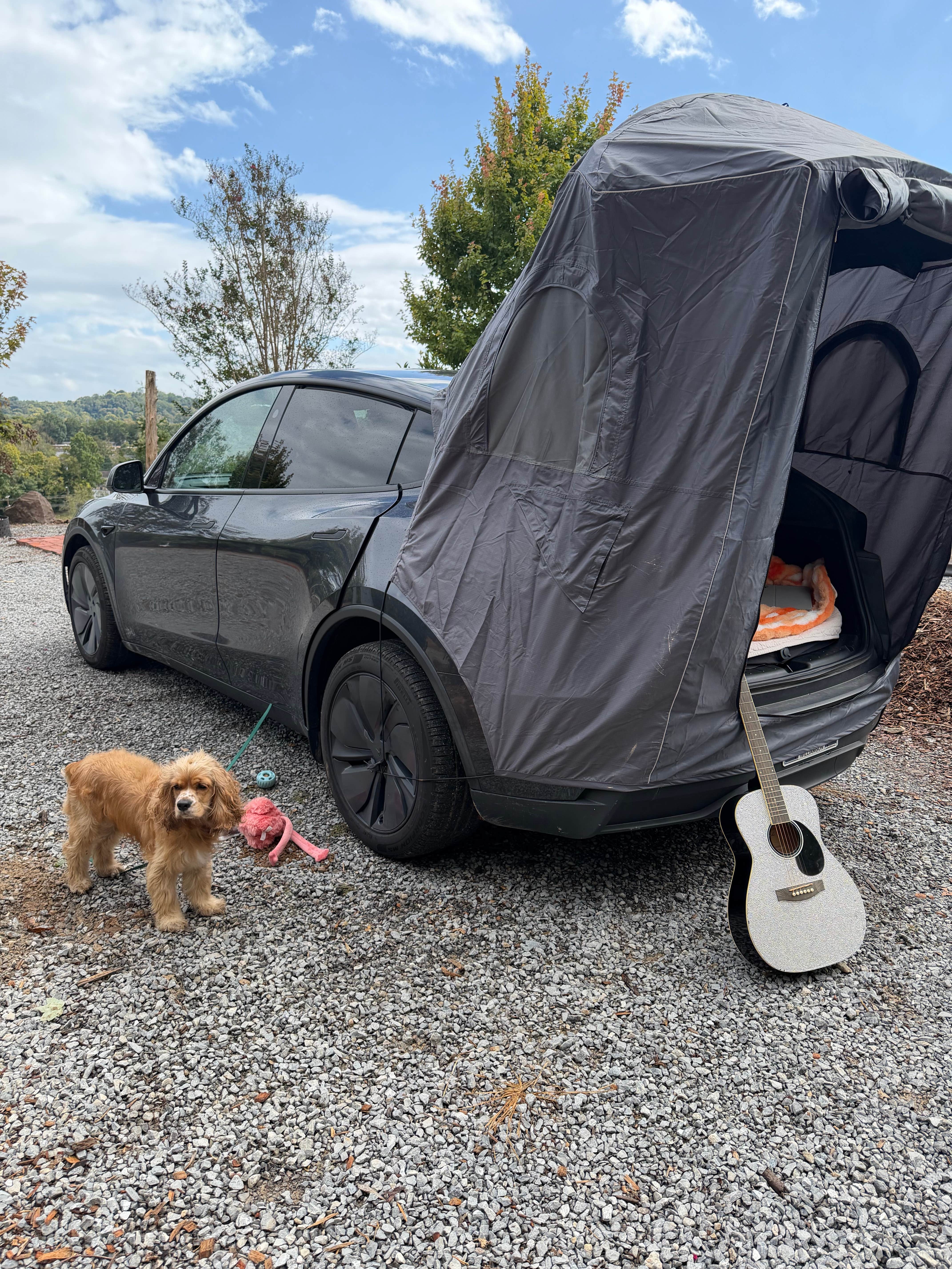 Calea C.'s photo at Quarry Trails Campground near Alcoa, TN