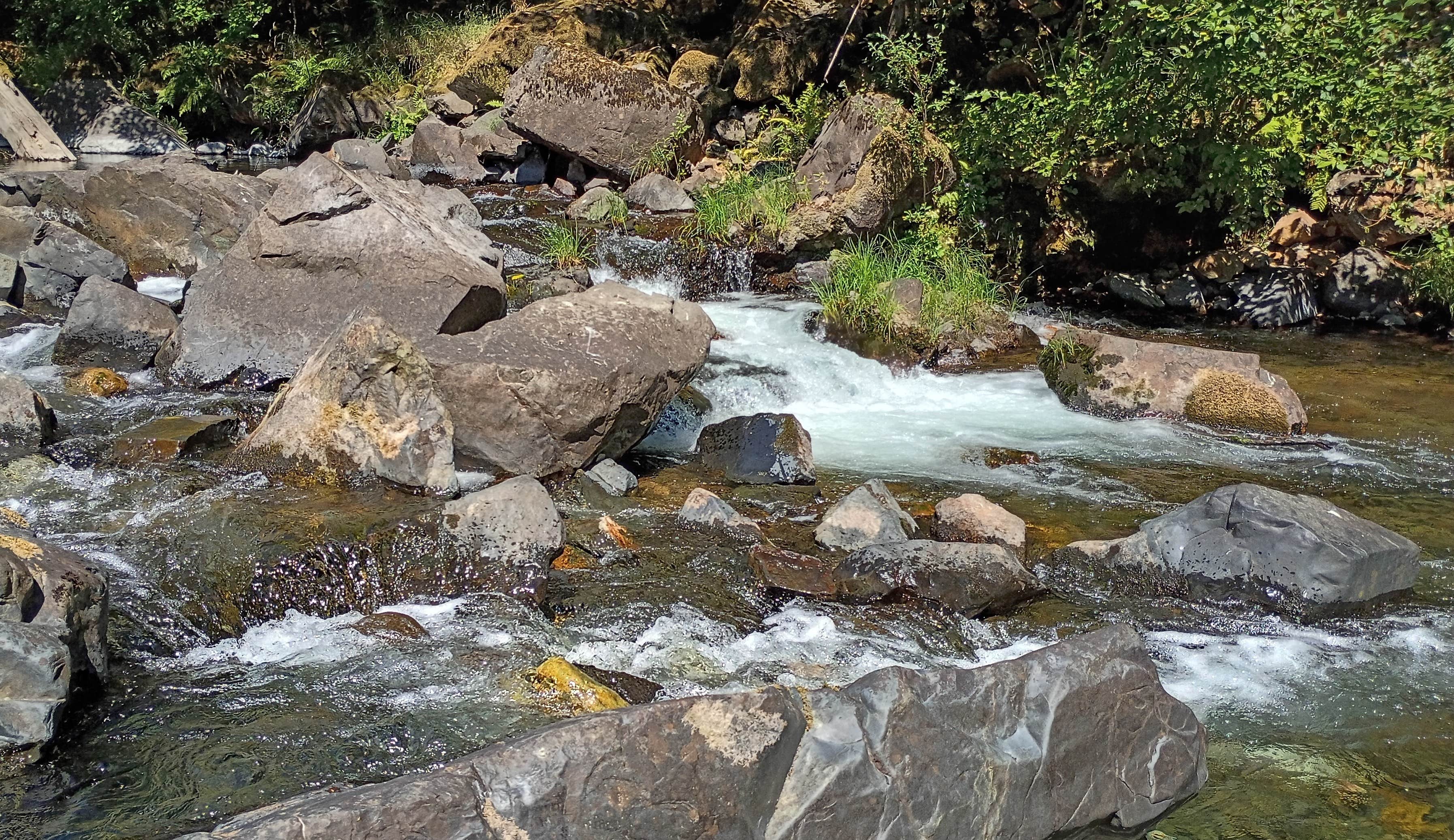 Camper-submitted photo at Quartzville Recreation Corridor near Lowell, OR