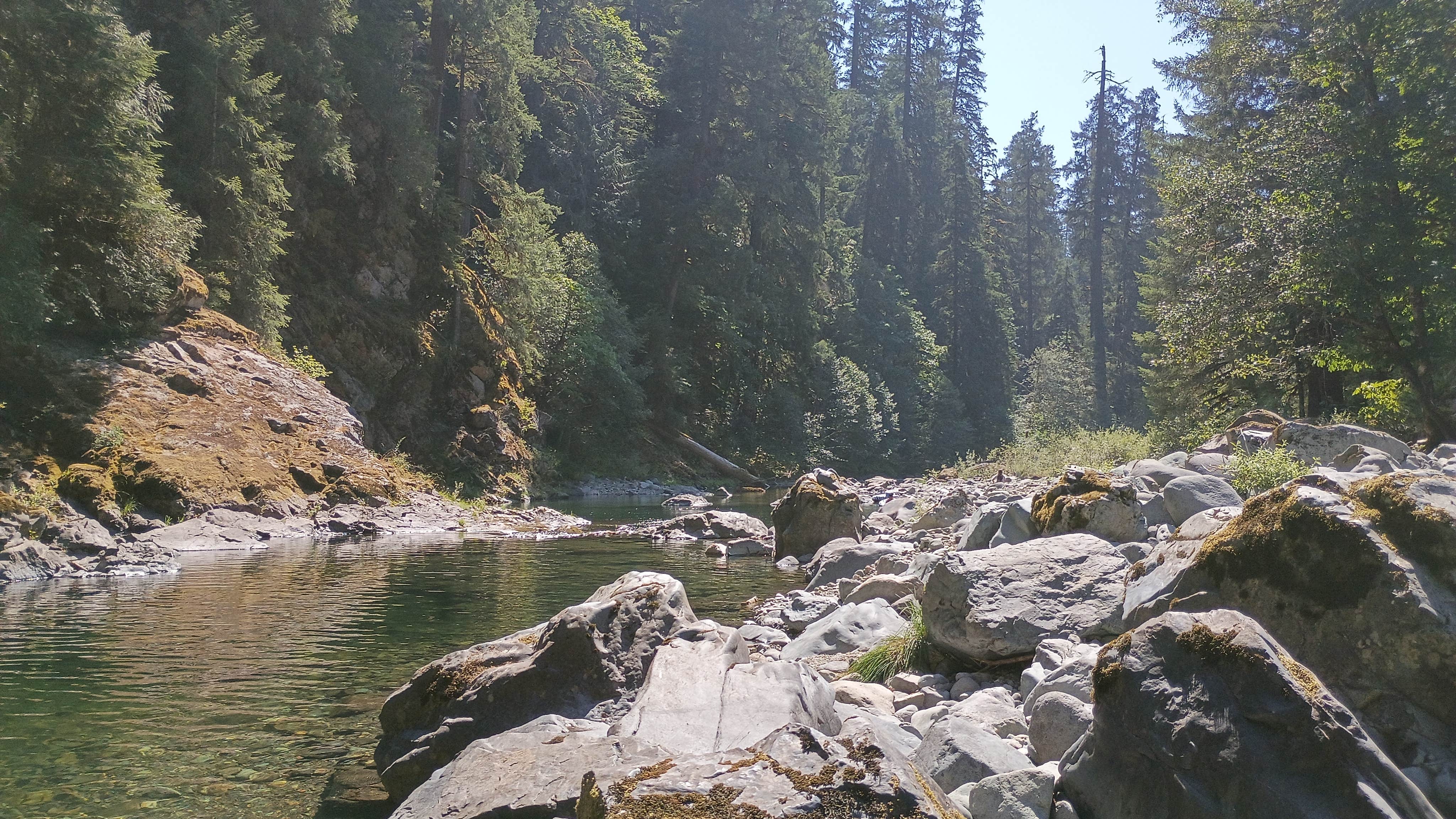 Camper-submitted photo at Quartzville Recreation Corridor near Lowell, OR