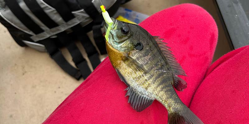 Camper submitted image from Quartz Lake