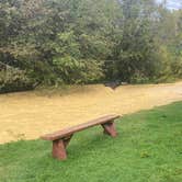 Review photo of Questa Lodge & RV Resort by John L., October 9, 2026