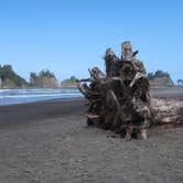 Review photo of Quileute Oceanside Resort by Vik H., May 19, 2025