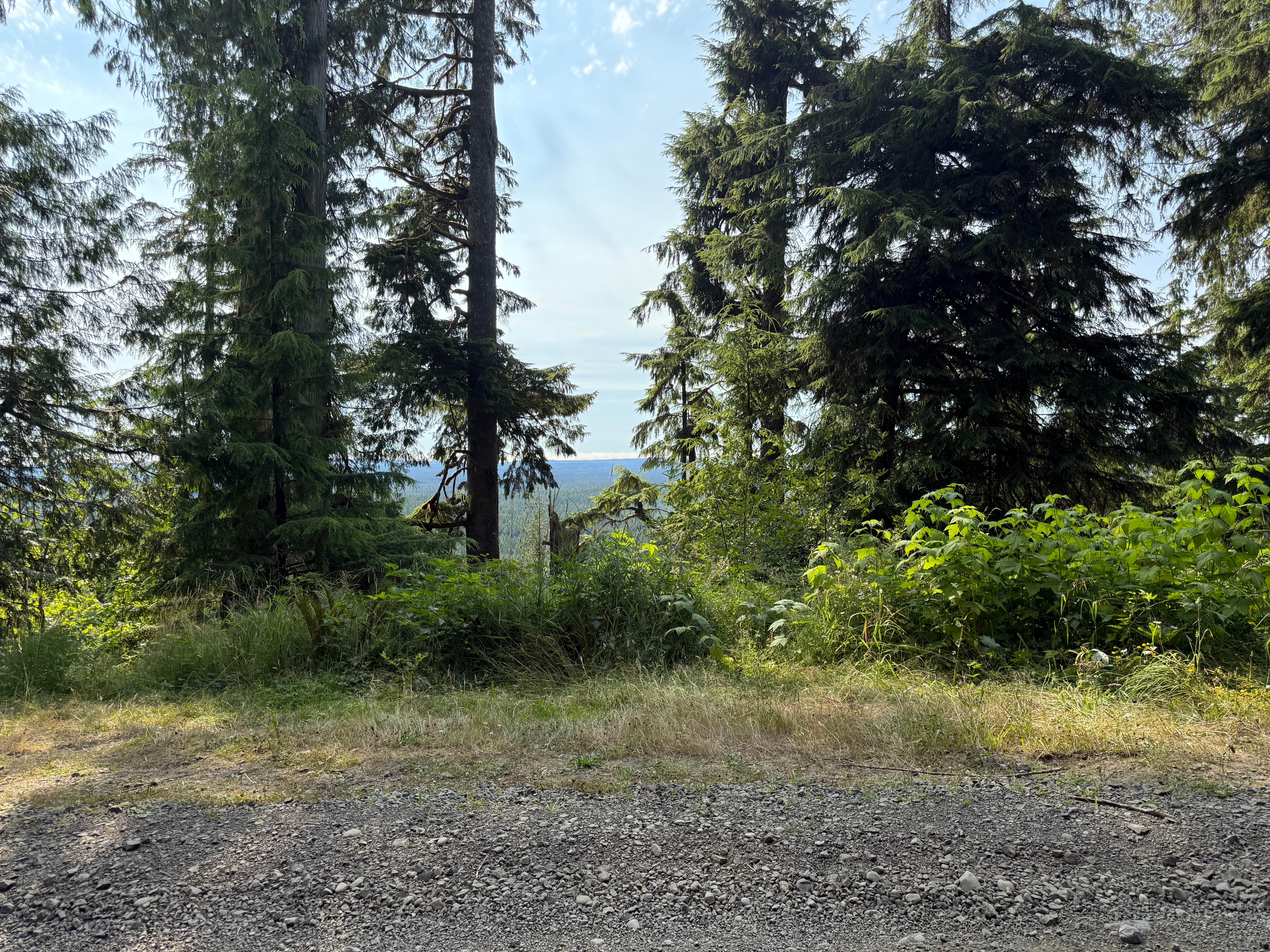 Camper submitted image from quinalt ridge vistas - 2