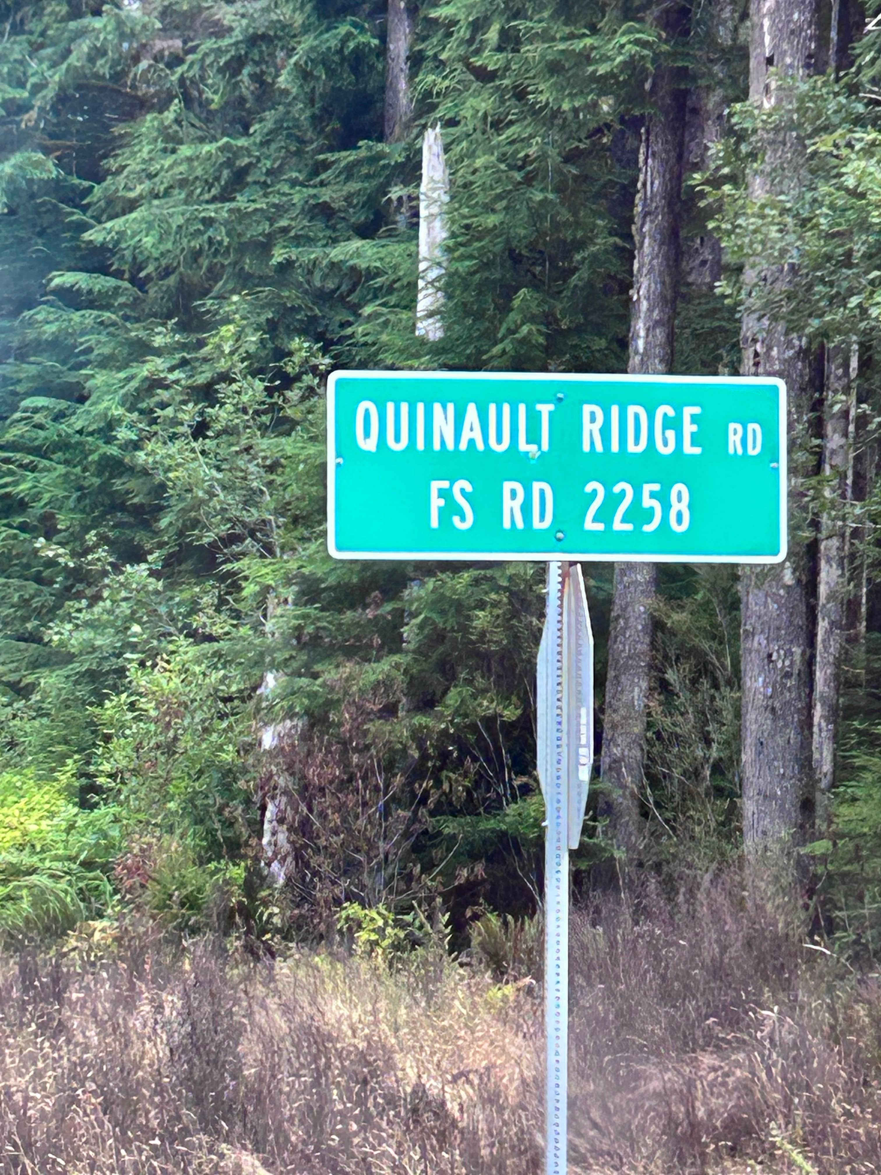 quinalt ridge vistas