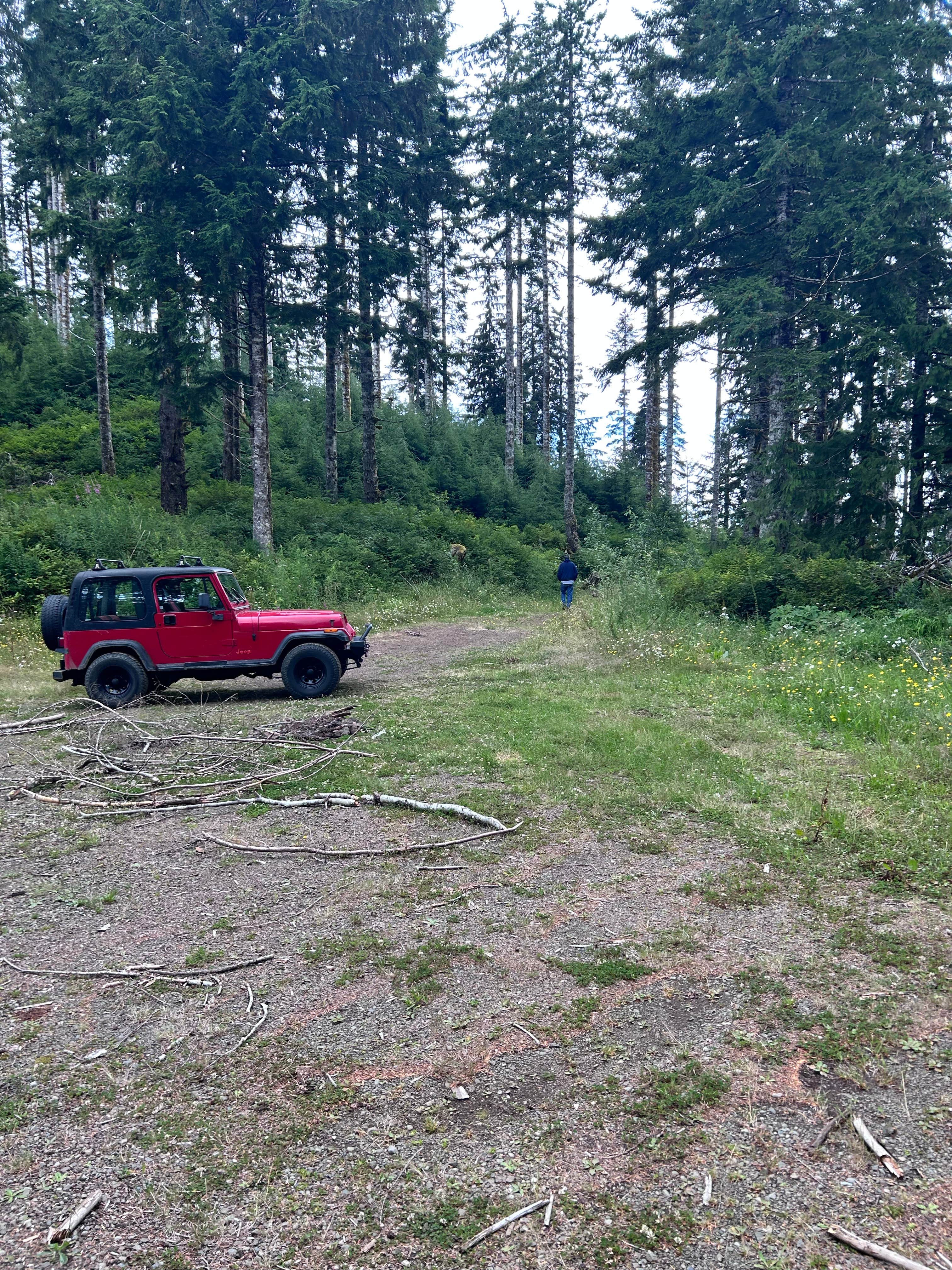 Camper-submitted photo at quinalt ridge vistas near Elma, WA