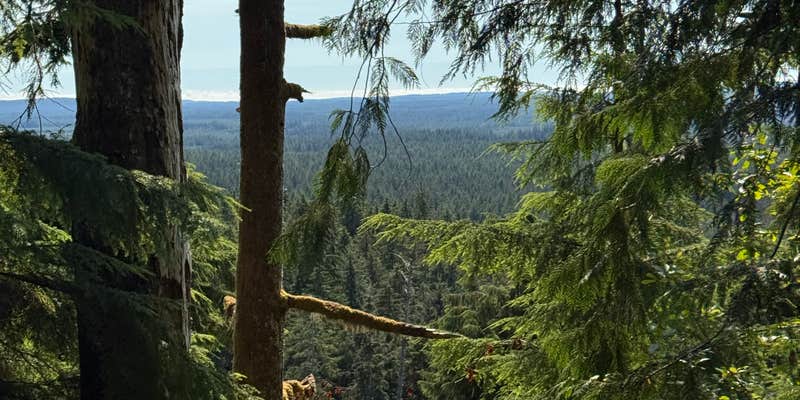 Camper submitted image from quinalt ridge vistas