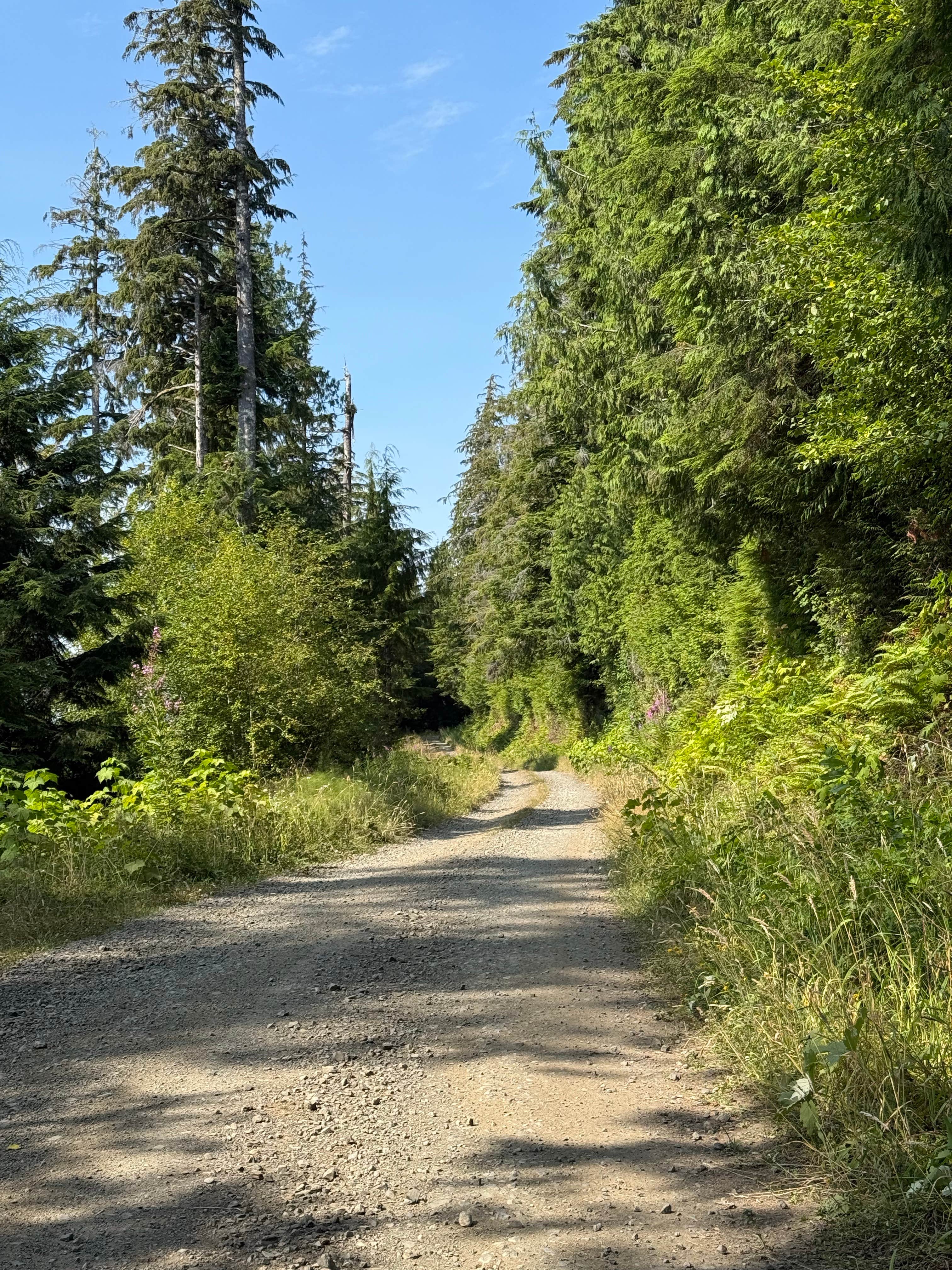 Camper-submitted photo at quinalt ridge vistas near Quinault, WA