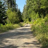 Review photo of quinalt ridge vistas by Brooke H., July 30, 2025