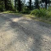 Review photo of quinalt ridge vistas by Brooke H., July 30, 2025