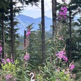 Review photo of quinalt ridge vistas by Lori R., August 11, 2026