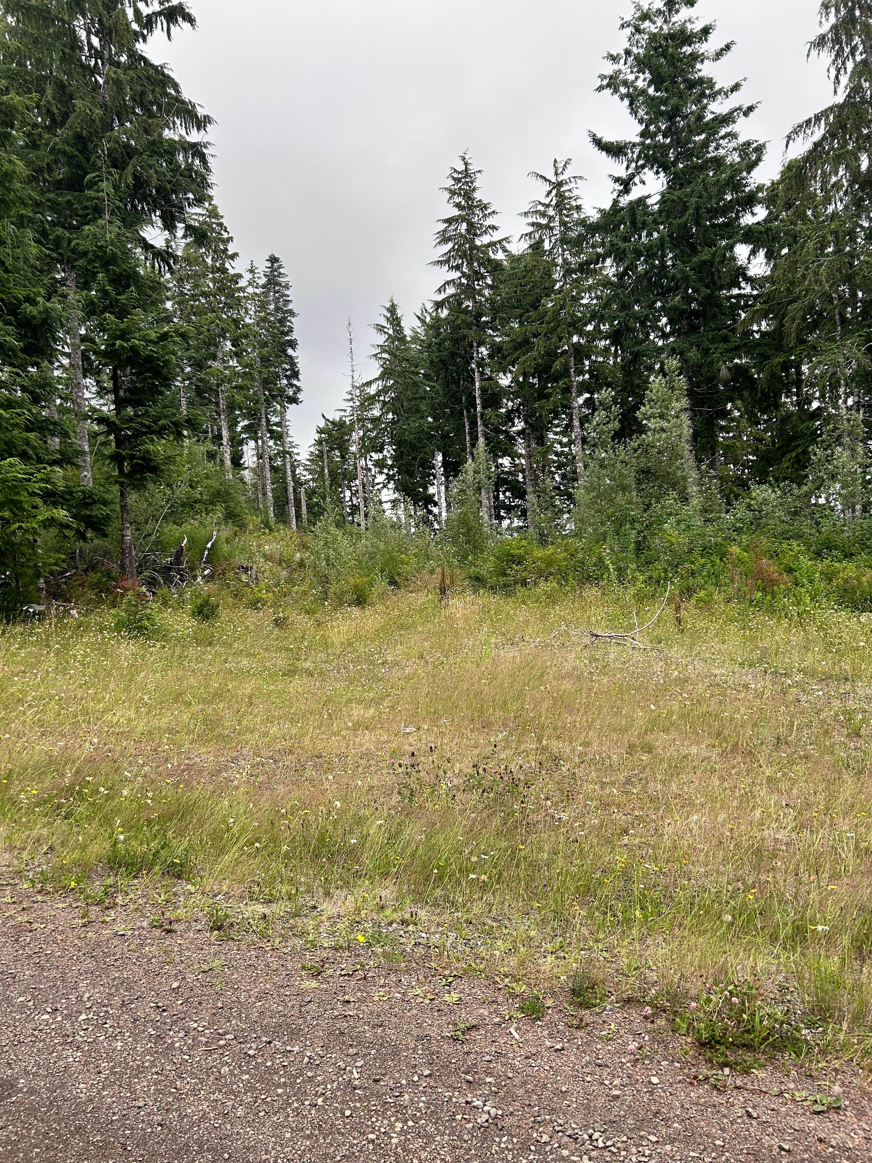 Camper-submitted photo at quinalt ridge vistas near Elma, WA