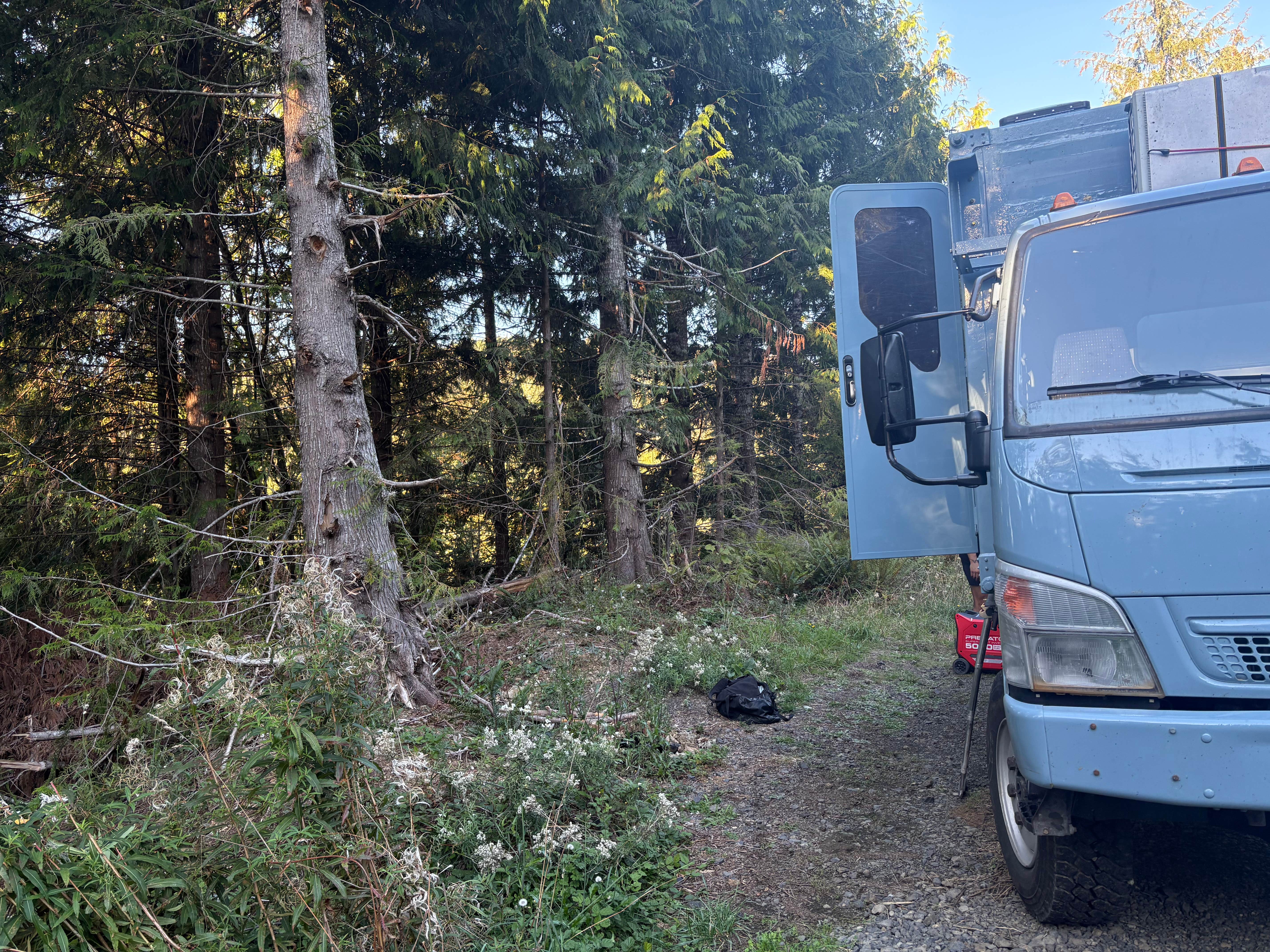 Camper-submitted photo at Quinault ridge camping near Quinault, WA
