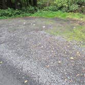 Review photo of Quinault Ridge Road by Matt G., September 29, 2026