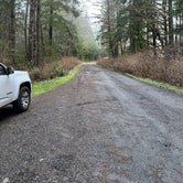 Review photo of Quinault Ridge Road by Jonas S., February 27, 2024
