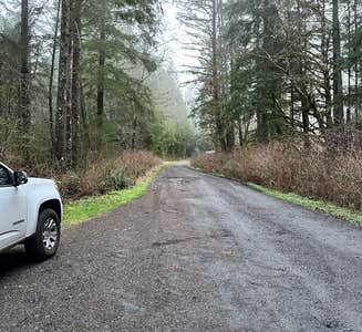 Camper-submitted photo from Quinault Ridge Road
