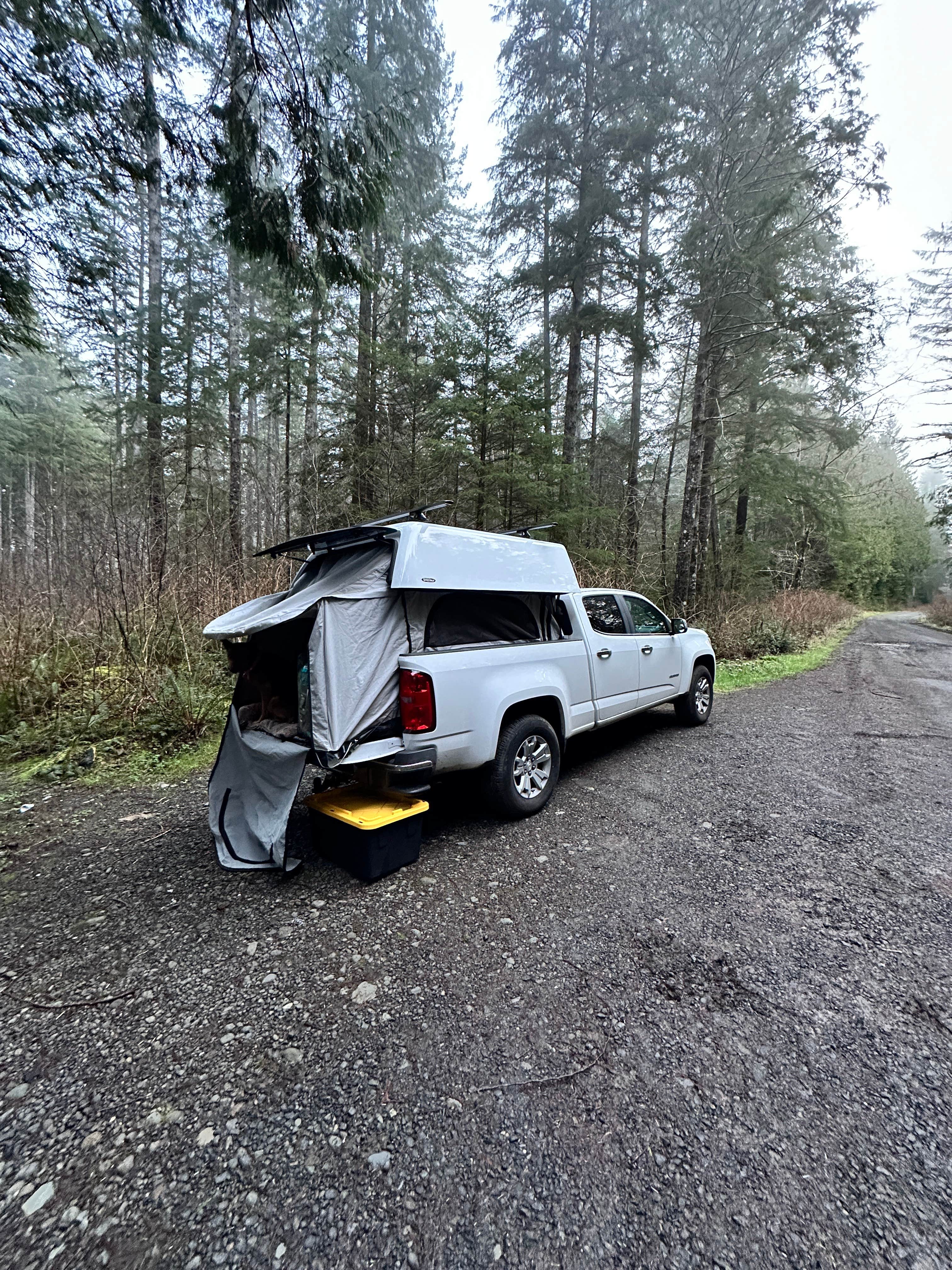 Camper-submitted photo at Quinault Ridge Road near Quinault, WA