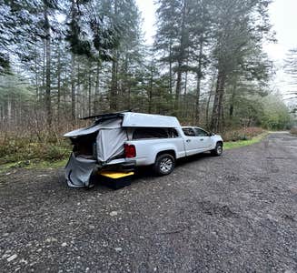 Camper-submitted photo from Quinault Ridge Road