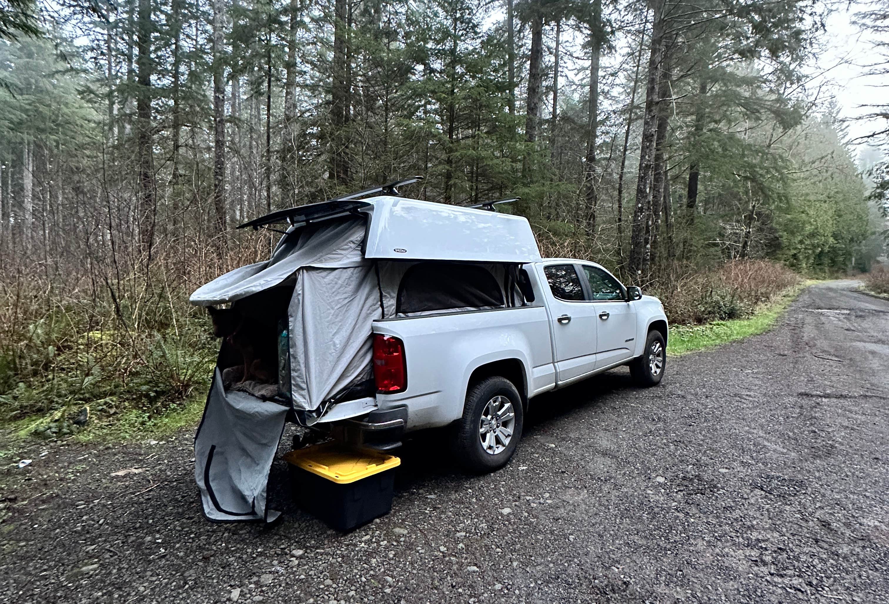 413 Rugged Ridge Road Quinault Ridge Road Camping | Amanda Park, Washington
