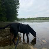 Review photo of Quinebaug Cove Campground by Mike M., June 6, 2026